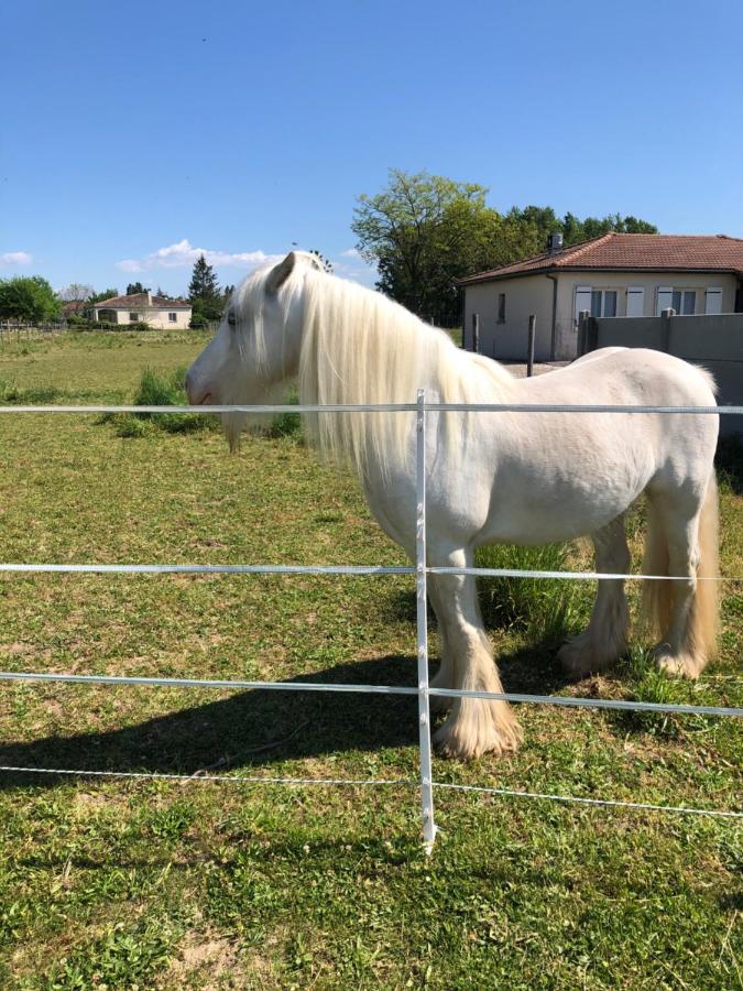 Le Cottage De Romas Villeneuve-sur-Lot Eksteriør billede